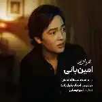 دانلود آهنگ وقتی عاشق شوی از امین بانی